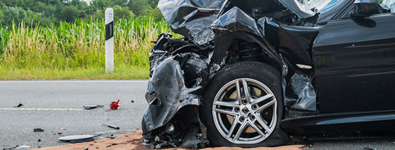 kostenlose Kataloge beim Auktionshaus Weiser in Frankfurt für Birefmarken und Münzen