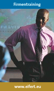 Sprachschule Eifert in Frankfurt, Firmentraining