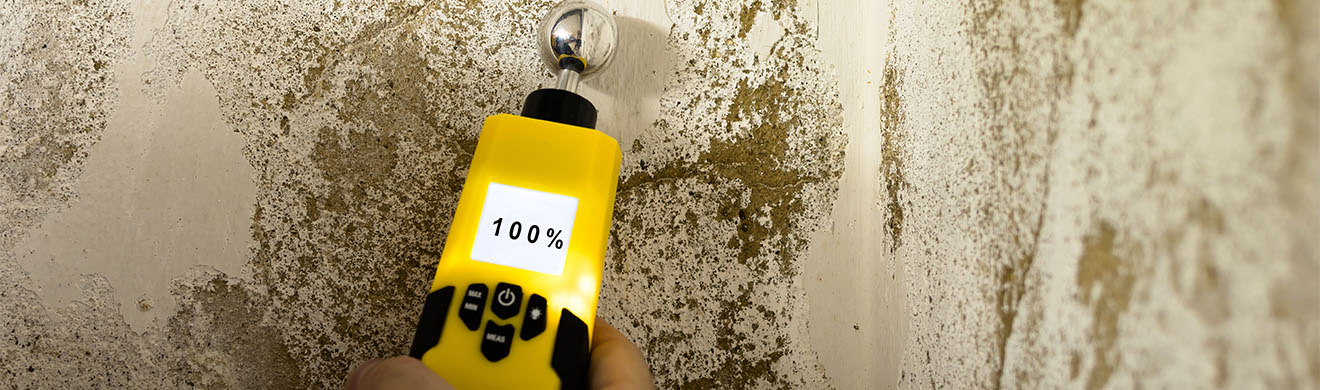 Kellerisolierung in Frankfurt Foto feuchte Wand